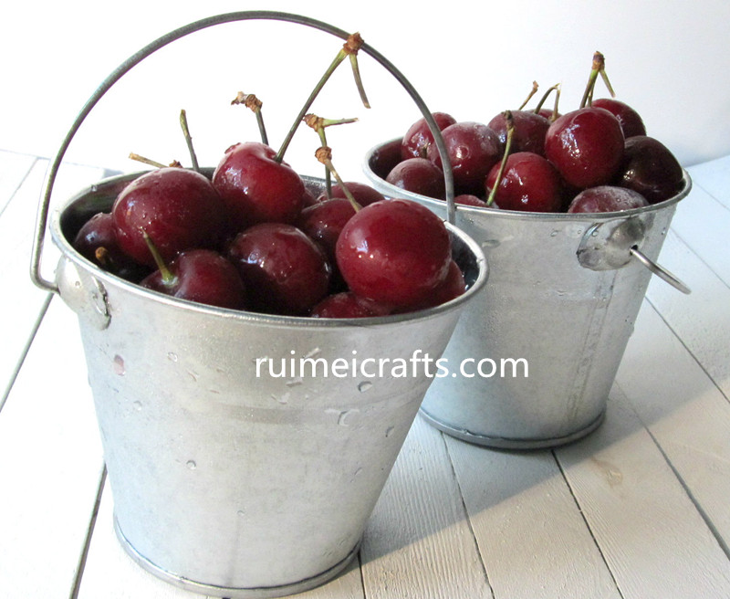 galvanized metal mini bucket with handle for fruit.jpg
