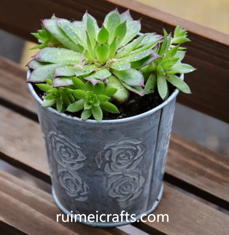 metal garden pot with rose pattern.jpg